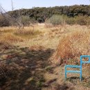 올레 두번째이야기 이미지