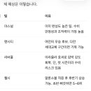 2627 EPL 지피티한테 예상순위나 분석해보라햇는데 이미지