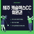 (주)캐슬렉스제주 이미지