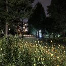 공원샌드위치&분식 - 서산시 부춘3로 53 | 공원샌드위치&분식