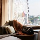 롯데호텔울산사우나 이미지