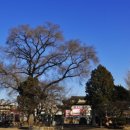 고목초등학교 이미지