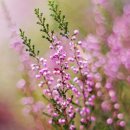 (주)행복한 사람들 이미지