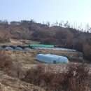 김덕수농장 이미지