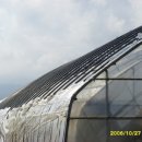 미희농장 이미지