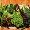 충실농장 이미지