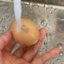 푸름농장2 이미지