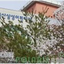 익산삼성어린이집 이미지