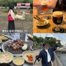 상록팜 | 5월 제주도 동쪽 여행 코스 추천 (1) 오는정김밥, 길갈팜랜드, 바다낚시 스팟, 각지불