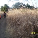 남양목장 이미지