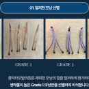 용닥터의원 이미지