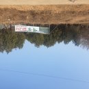 백송 농장 이미지