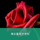 해오름요양원 | 덕양구 부모님 위한 추천 요양원 해오름파견센터 가족이 믿고 맡기는 곳
