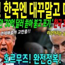 트럼프! 한국엔 대꾸말고 다 퍼줘! 미국 12년동안 '30억 달러 쏟아붓고 포기' 한국3년만에 완성!호루무즈 완전 정복! 이미지