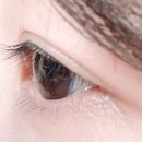 아이콩수 | [아이콩수] 성남 모란속눈썹 잘하는 아이콩수에서 속눈썹c컬펌 후기