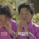 짝궁