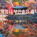 하반기 두번째 출사(백양사단풍과 부안솔섬일몰) -2018.11.06 화요일 이미지