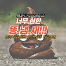 전주항외과의원 이미지