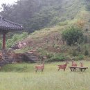 안흥바다마을 이미지