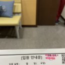 대전자생한방병원 | [대전/탄방동] 대전자생한방병원 입원 및 치료후기 교통사고 입원 대전한방병원추천