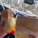 이삭펜션 - 강화군 해안남로 1288-36 | [경기 가평] 가평 에비뉴 펜션 키즈풀빌라 독채 개별바베큐 가능한 스파펜션 내돈내산 방문 후기