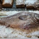 서남구수협앞 이미지