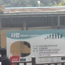 맘스터치 청주대점 네이버블로그