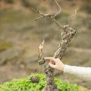 돌하르방미술관 이미지