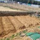 펜션라벤더 이미지