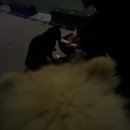 호두데이