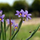 봉양농장 이미지