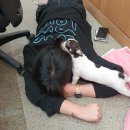 가온개러지 | [2022.04.11.15:44] 🌏지구야 미안해 천천히 덥자