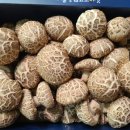 태현농장 이미지