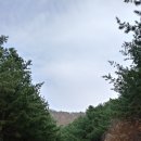 산본고가 삼거리 | 2018.11.19. 수리산 임도 라이딩
