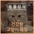 민락동물병원 이미지