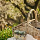 화면속으로 이미지