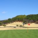 파인 힐링 이미지