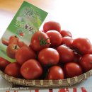 일진농장 이미지