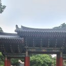 하이원투어 이미지