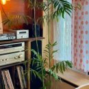 홀리데이 인 경주 이미지