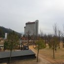 플로라모텔 이미지