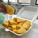 SALUS(살루스) | 임신 26주 | 베트남 태교여행 2 (한시장 산책 쇼핑, 살루스 헬시, 95스파, 블루약국, 원더러스트, 다낭...