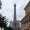 데이라이트 | 코닥 일회용카메라 노 플래쉬 데이라이트 39 현상 및 사용 후기