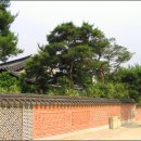 조각구름 오마이뉴스