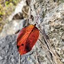 범물경로당 이미지