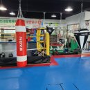 변교선 대전복싱클럽 이미지