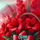 샬롬 Daum카페