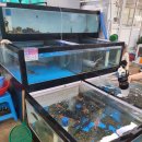 미래대게식당 이미지