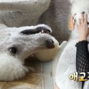 다니엘보청기 이미지