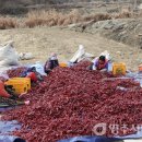 삼계1리 이미지